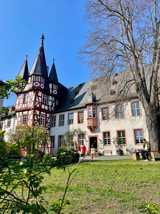 Laudio Institutuko ikasleak  5 1774256997826