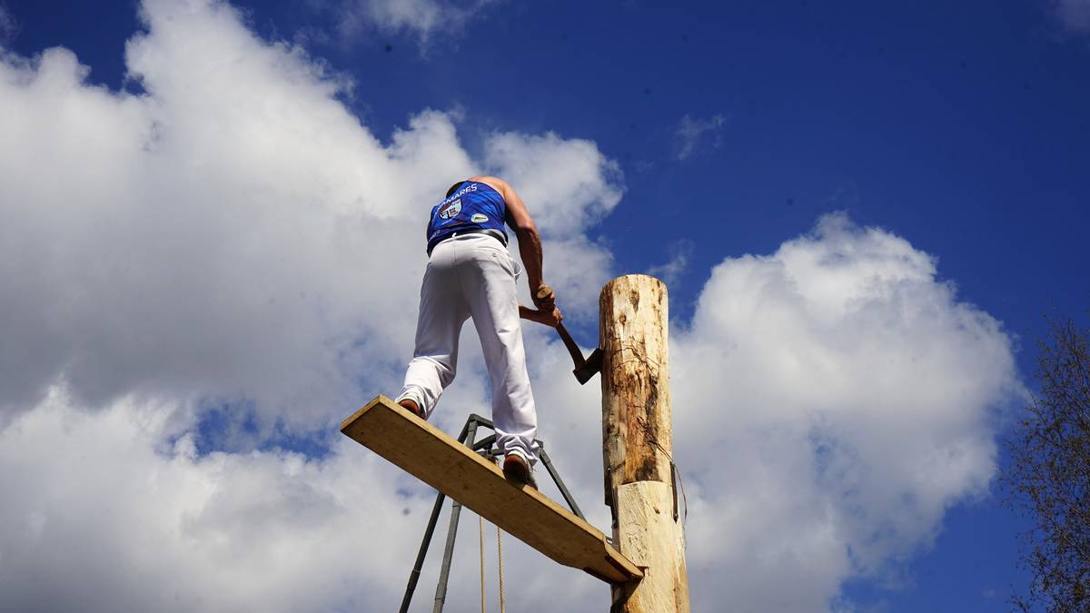 Okondoko herritarren elkargune izan da Baserri Azoka