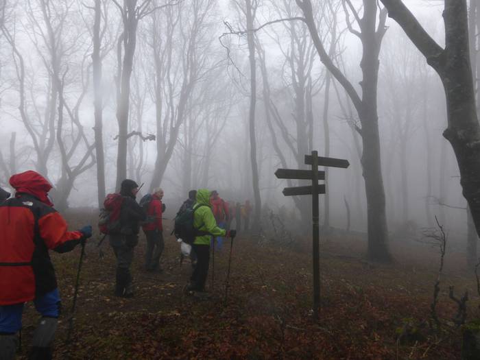 Laino artetik Santa Elena me 20 1511892587962