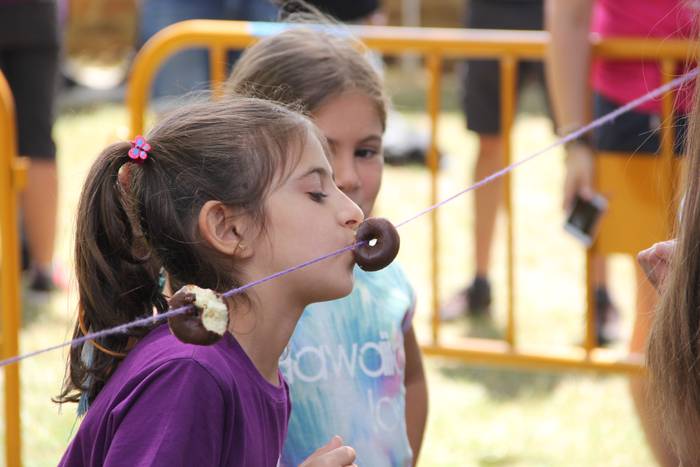 Andra Mari Zuri ospatzeko el 15 1502365829304