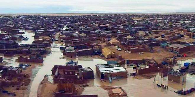 Saharako errefuxiatu kanpamenduetara eta Elikagai Bankura laguntza ekonomikoak bideratu ditu Udalak
