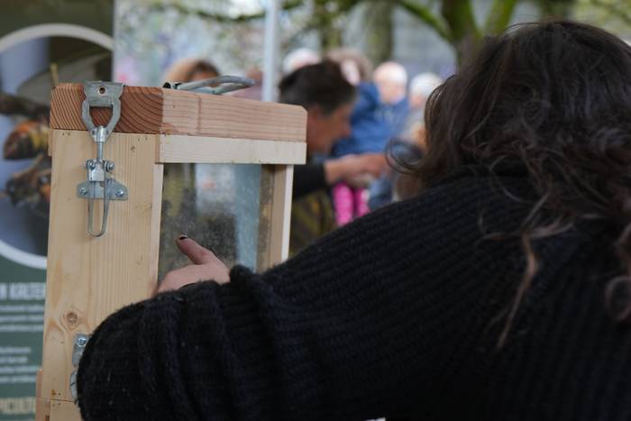 Euriak ez du zapuztu Dolumin 20 1774623115246