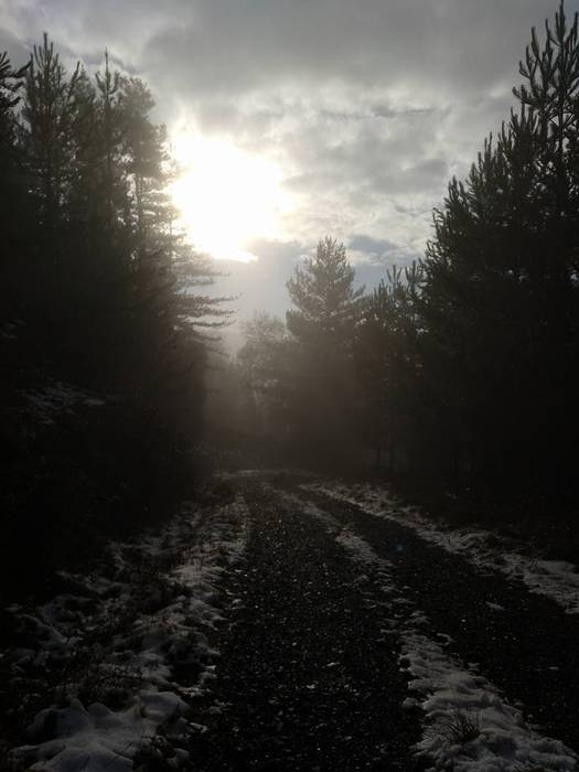 Elur gainean egin zuten Sara 4 1512470419046