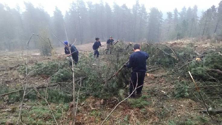  15 langabetu kontratatzeko asmoa dauka udalak, hiru enplegu programen bidez