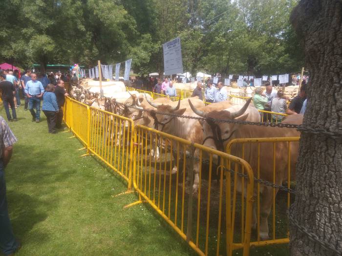 San Isidro Azokak jende ugar 39 1494852429127