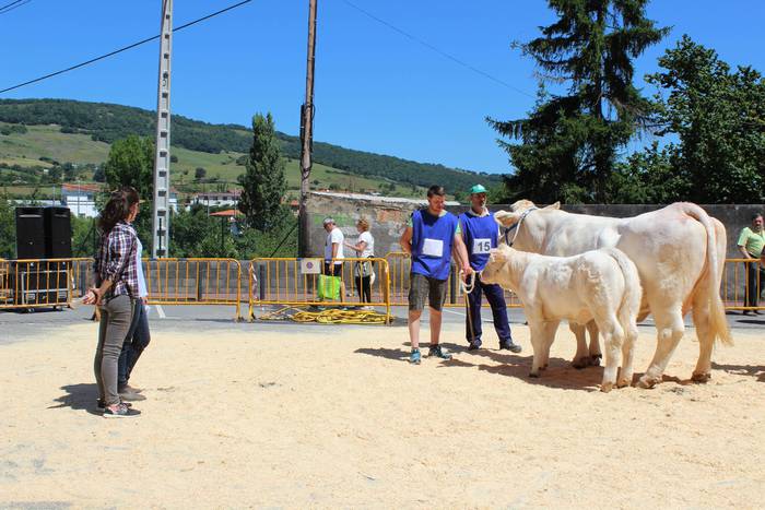 Txaroles lehiaketa batean ep 34 1497991873268
