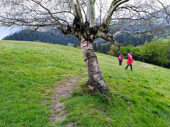 Apirilaren 22an Deba eta Zum 3 1523285695653