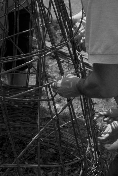 Basa zikloak lokatzetik Fakt 14 1777364251213