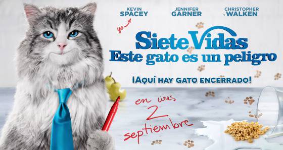 7 vidas, este gato es un peligro