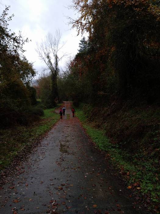 Elur gainean egin zuten Sara 7 1512470440043