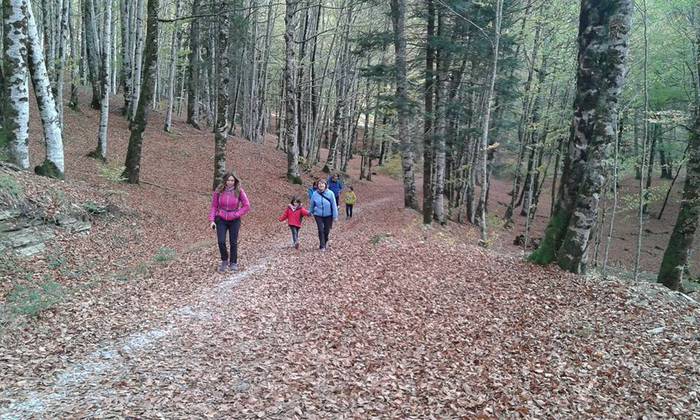 Iratiko basoan egon da asteb 17 1509432825603