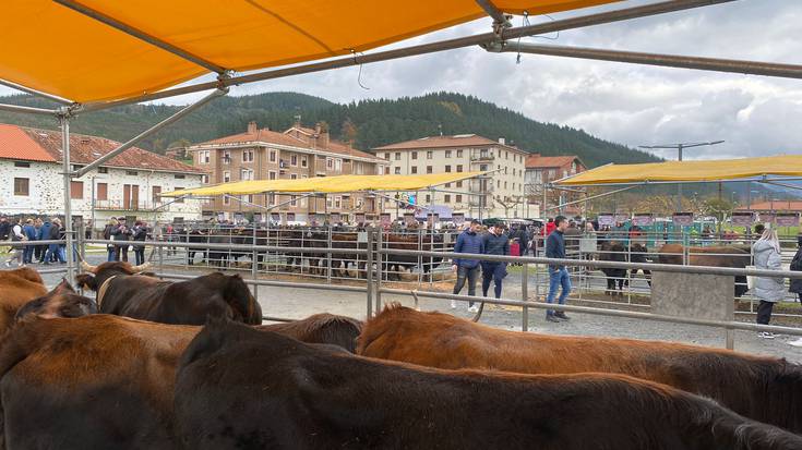 Abenduaren 14an ospatuko dute aurtengo Santa Luzia azoka Orozkon