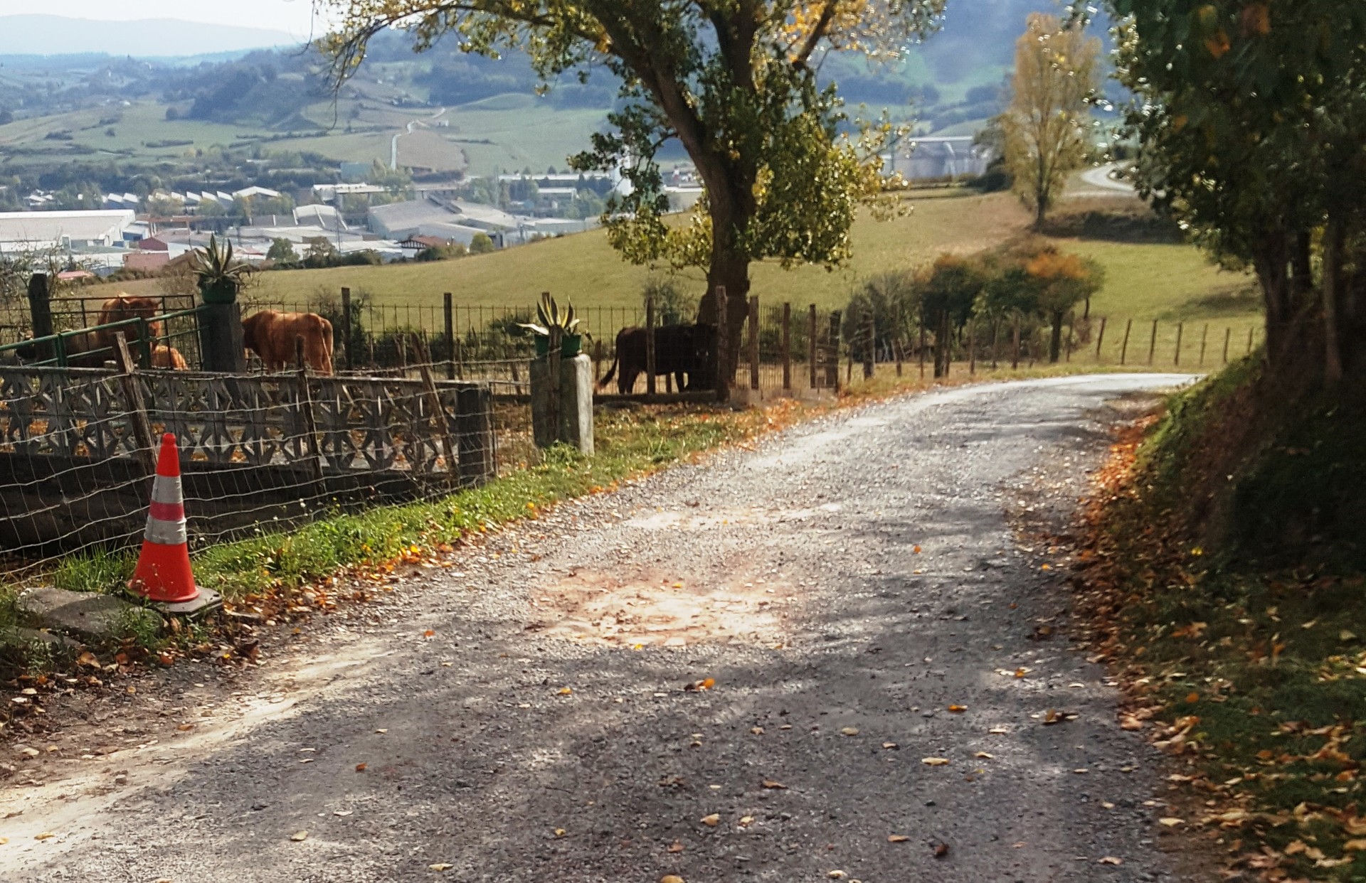 Herriko hainbat gune asfaltatuko dituzte