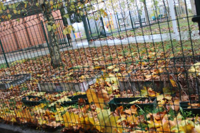 ARGAZKIEKIN JOLASEAN 18 1510747370953