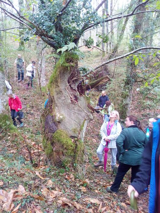 Orozkoko ekonomian gaztainak 7 1508606251720