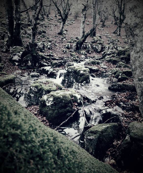 Gorobel mendi ibilaldian 500 22 1510053981155