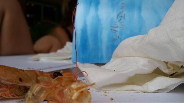Gastronomia ere zikloturismoa da