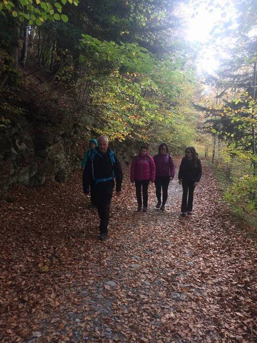 Iratiko basoan egon da asteb 8 1509432777501