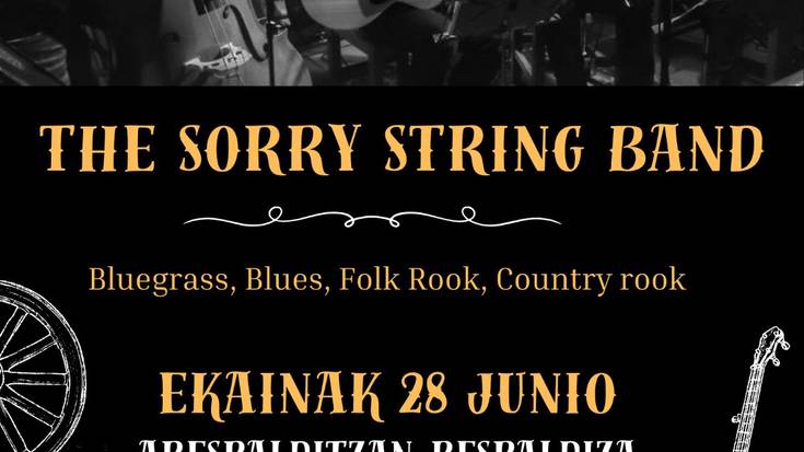 The Sorry String Band