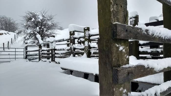 Gorbeialdea eta Orozko, elurtuta