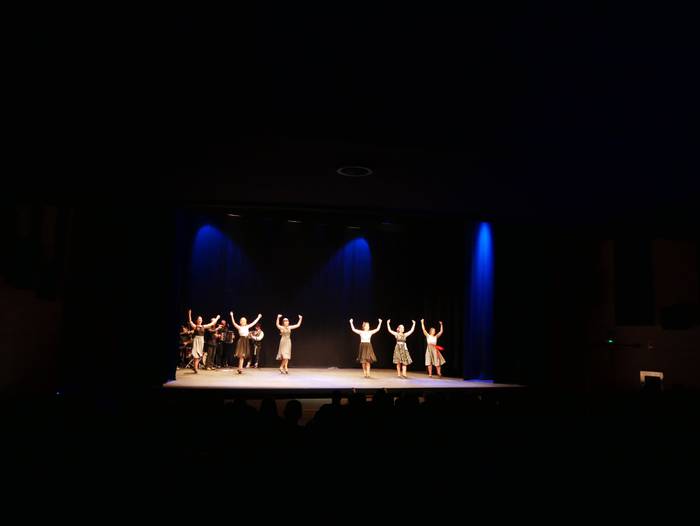 Aniztasuna nagusi "Nahas jol 95 1551100373454