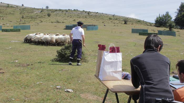 Sanbitoresak ospatzeko ehunk 191 1504513712717