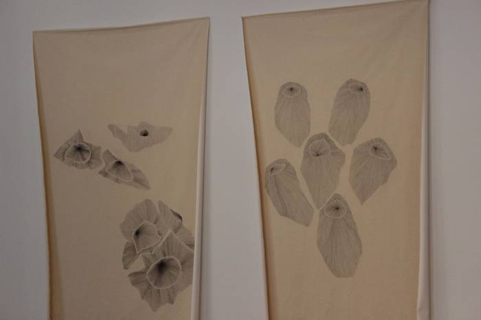 Mila herritar baino gehiago  7 1507486139621