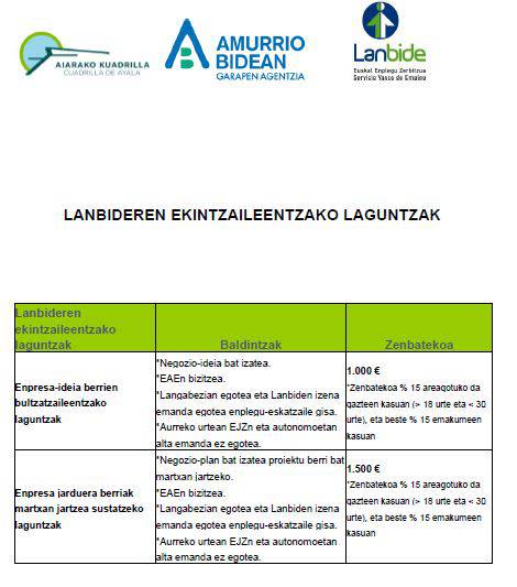EKINTZAILEEI ZUZENDUTAKO LANBIDEREN DIRU-LAGUNTZEN DEIALDI BERRIA