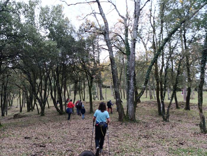 Omenaldiek bereziki hunkigar 43 1765402867159