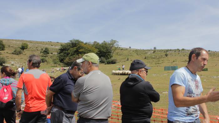 Sanbitoresak ospatzeko ehunk 175 1504514362947