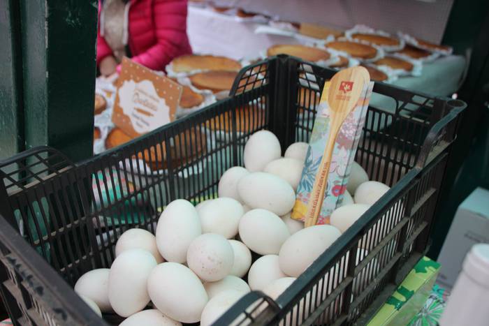 V.Azoka agroekologikoa