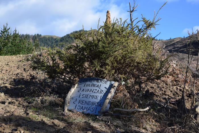 Eskualdeko hainbat lasterkar 1 1520324030178