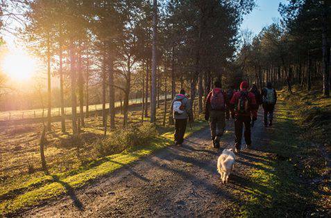 Txarlazotik Tologorrira joat 10 1485969304990