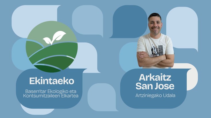Artziniegako aktualitate instituzionala eta Ekintaeko elkartea, azalera
