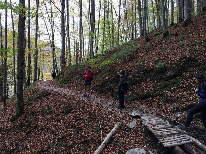 Iratiko basoan egon da asteb 3 1509432750796