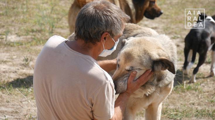 Animalientzako aterpea atontzen ari dira Urduñan