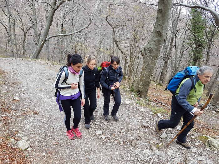 Gaur emango dute Tologorrin  9 1484238245538