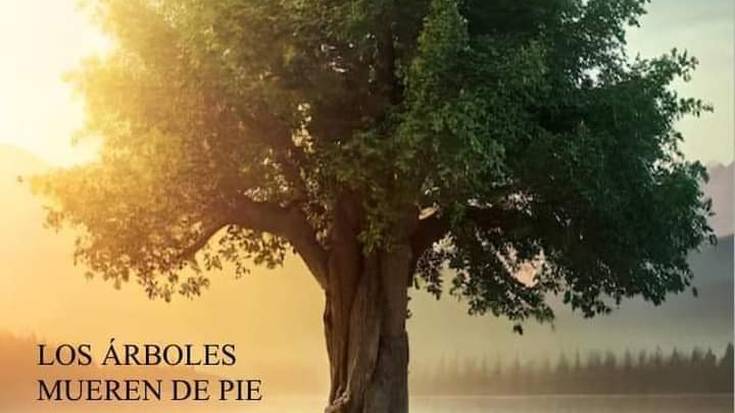 Los árboles mueren de pie