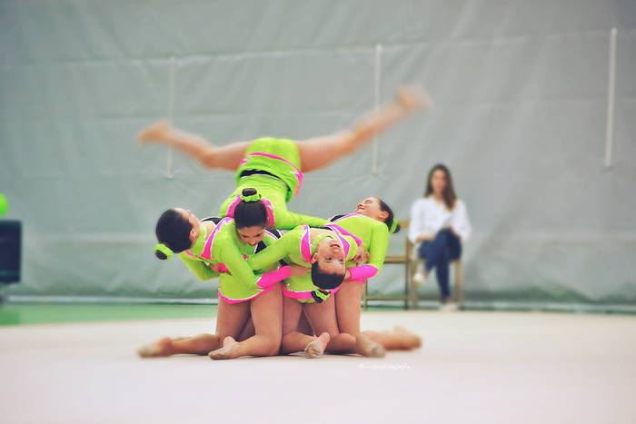 Dozenaka parte hartzaile X.  160 1490877839416