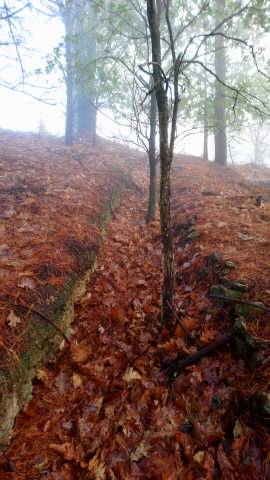 Guda Zibileko lubaki gehiago 2 1513036745280