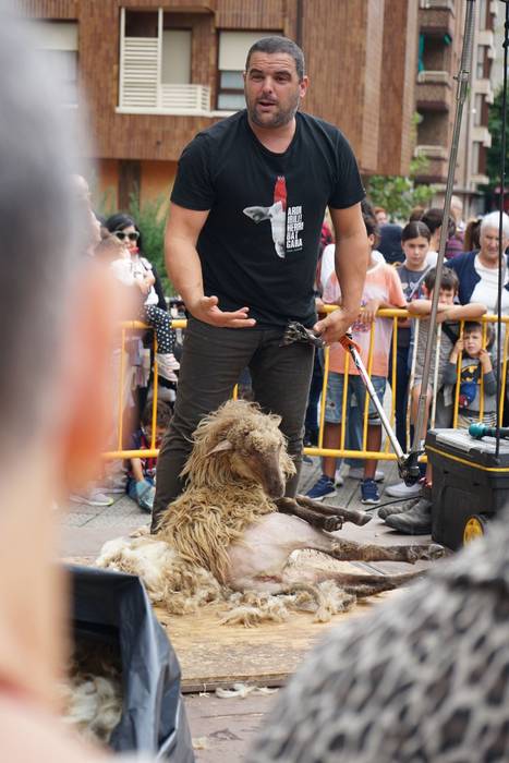 Yolanda Elosegui, Maria Ange 7 1758471064918