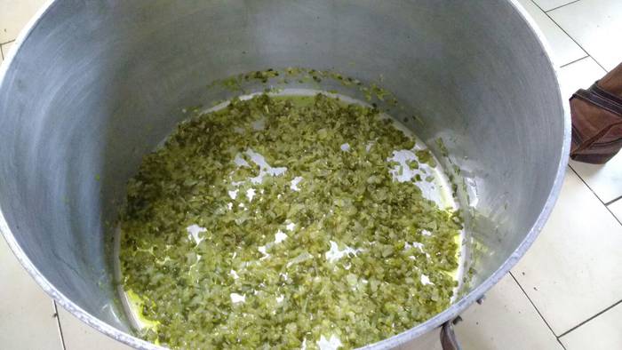 Artziniegako Euskararen eguna