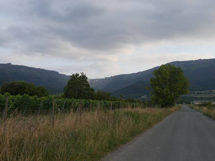 Artomañatik Urduñara partzela bide asko daude, ibiltzeko oso egokiak