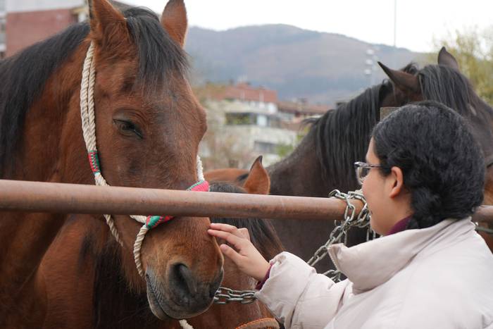 Euriak ez du zapuztu Dolumin 25 1774623134781
