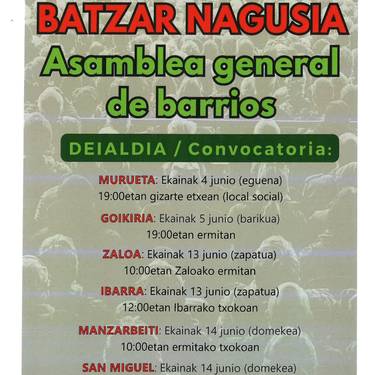 Auzoetako batzar nagusia: Ibarra