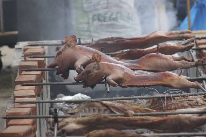 Ehunka ekoizlek eta bisitari 54 1516542146796