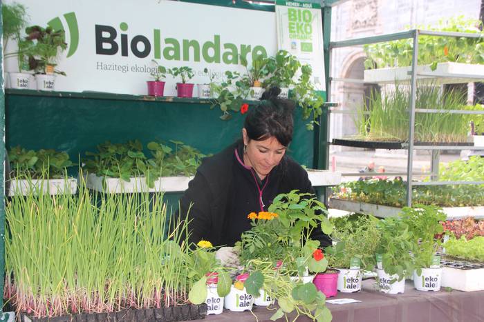 Azoka agroekologikoa ospatu  58 1556394315553