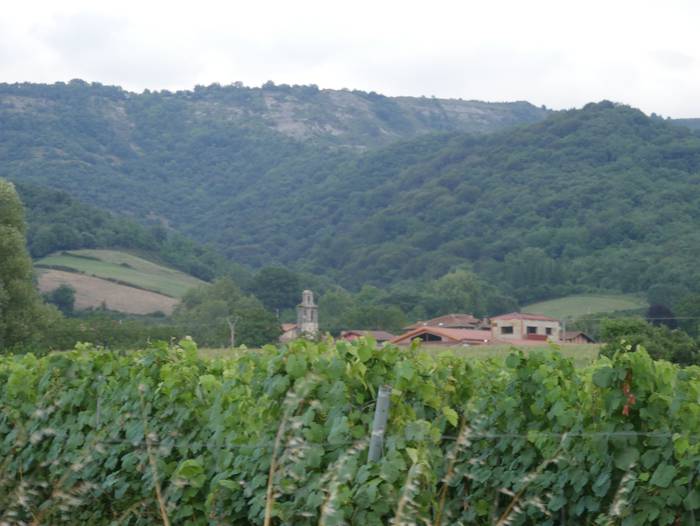 Txakolin eta mahasti artean ezkutatzen da Artomaña