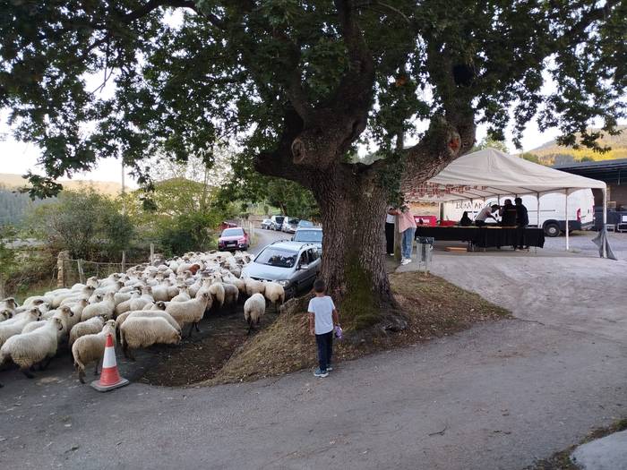 Berazako auzunea alaitu zute 18 1759396664696