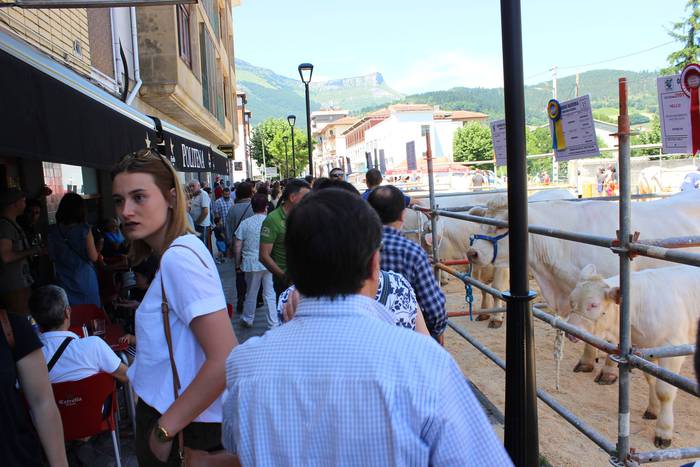 Txaroles lehiaketa batean ep 19 1497991719283